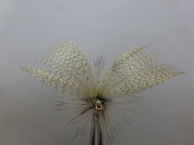 Size 10 Mayfly White